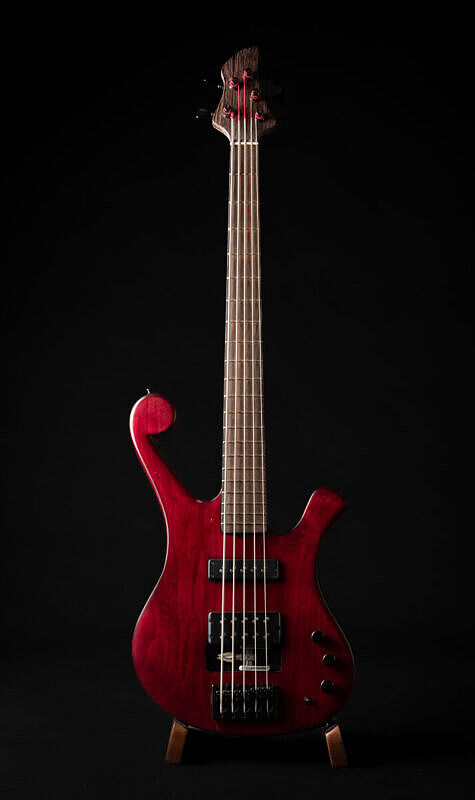 paladin 5 bass red alder body