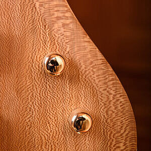 sycamore paladin knob and figure detail