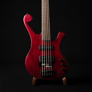 red alder 5 string paladin bass